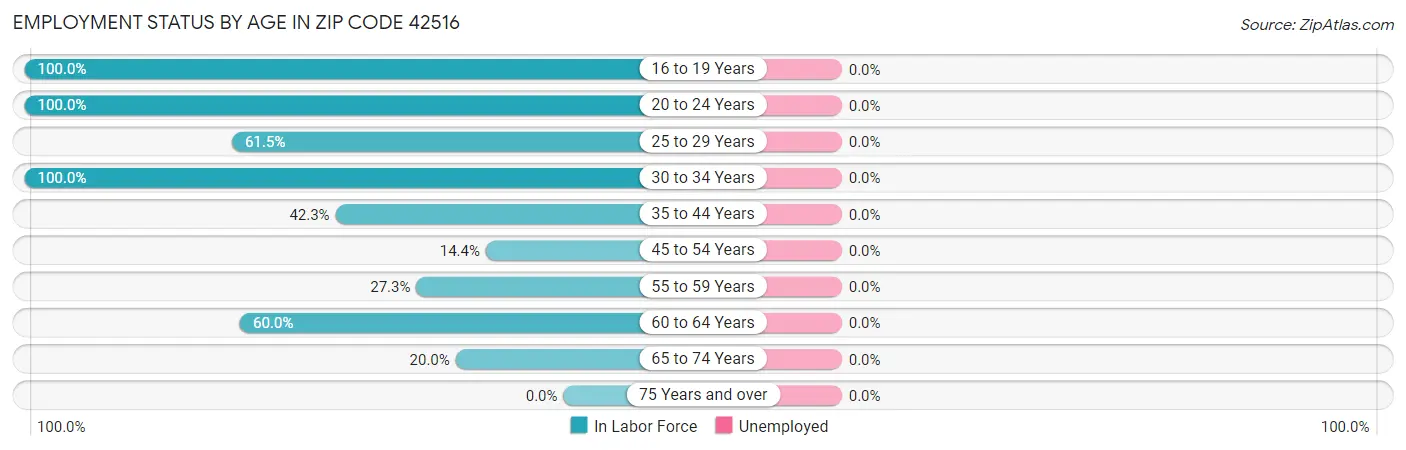 Employment Status by Age in Zip Code 42516
