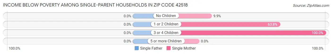 Income Below Poverty Among Single-Parent Households in Zip Code 42518