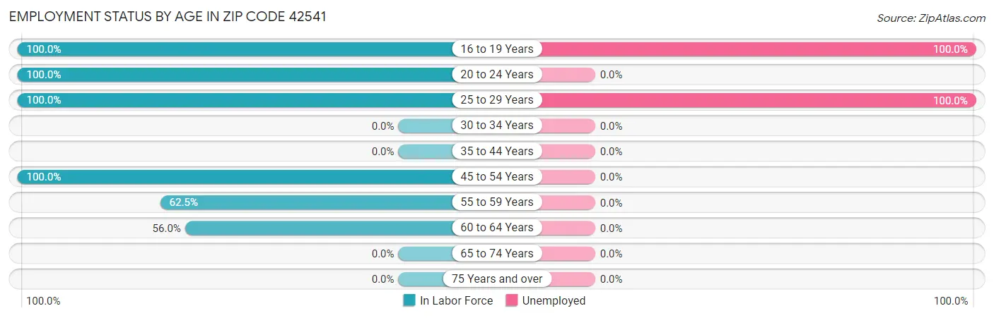 Employment Status by Age in Zip Code 42541