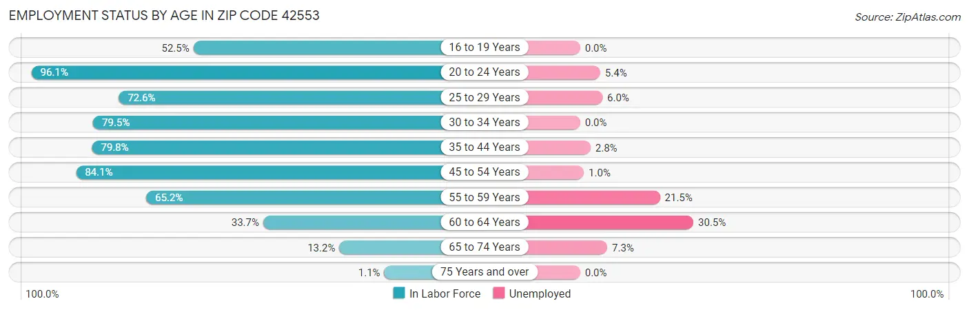 Employment Status by Age in Zip Code 42553