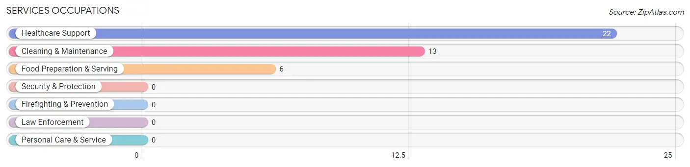 Services Occupations in Zip Code 42603