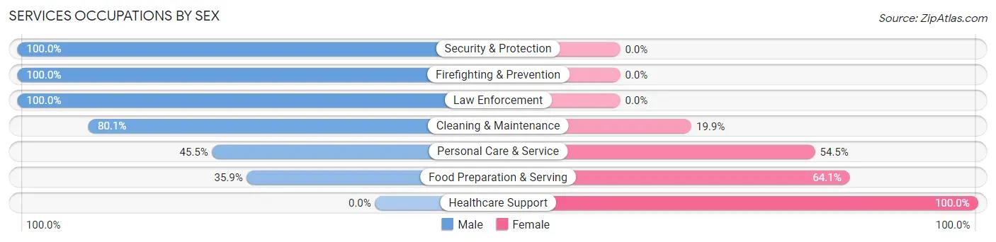 Services Occupations by Sex in Zip Code 42642