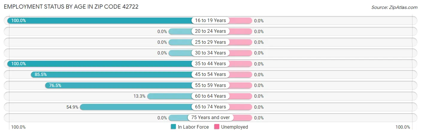 Employment Status by Age in Zip Code 42722