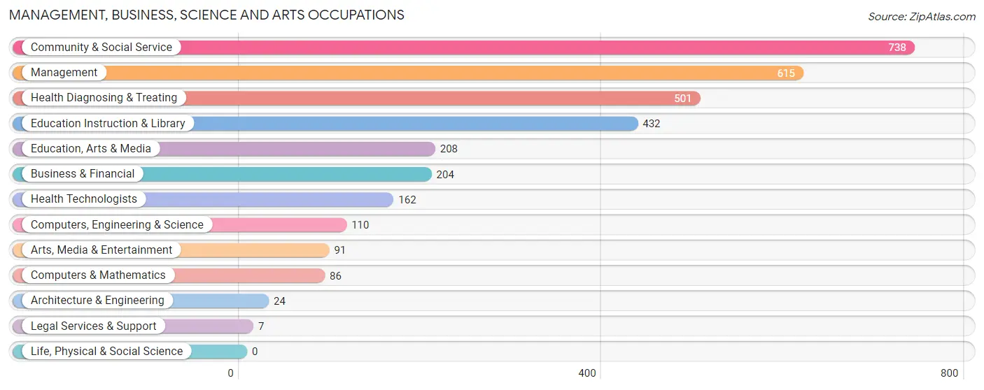 Management, Business, Science and Arts Occupations in Zip Code 42728