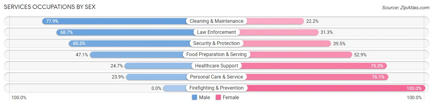 Services Occupations by Sex in Zip Code 42728