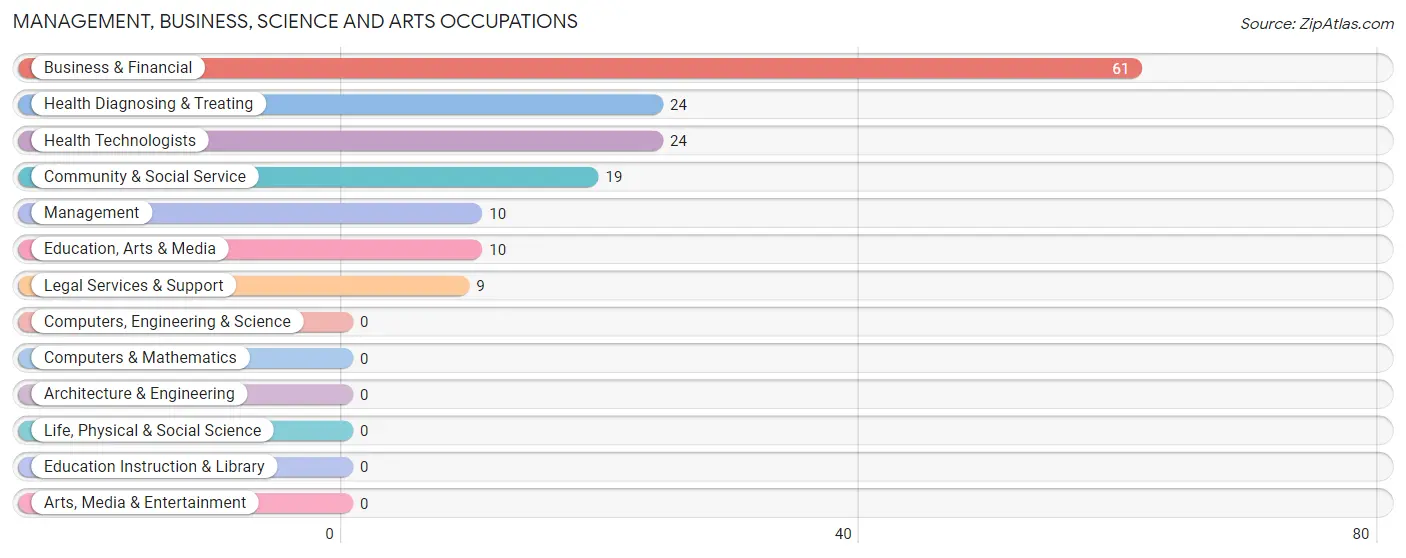 Management, Business, Science and Arts Occupations in Zip Code 42782