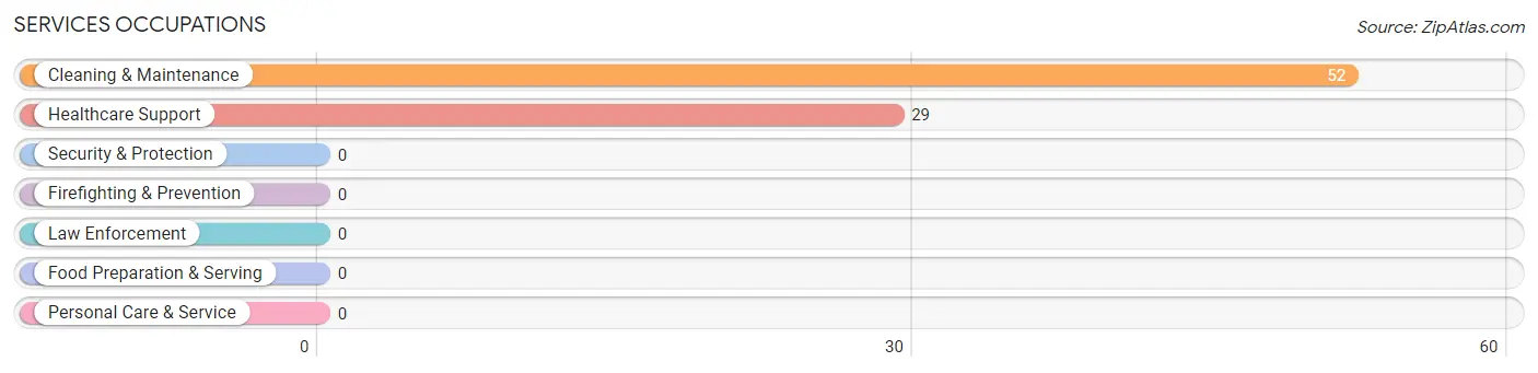 Services Occupations in Zip Code 42782