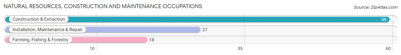 Natural Resources, Construction and Maintenance Occupations in Zip Code 43001