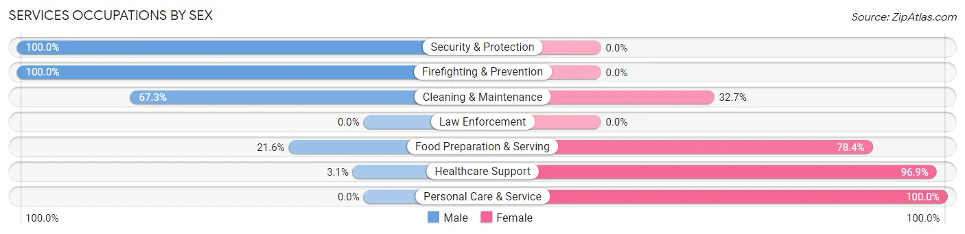 Services Occupations by Sex in Zip Code 43001
