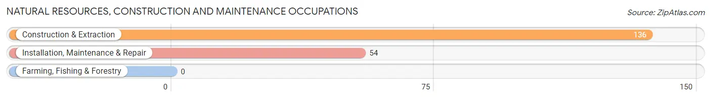 Natural Resources, Construction and Maintenance Occupations in Zip Code 43003