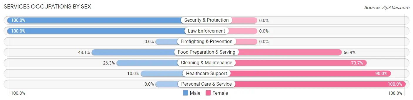 Services Occupations by Sex in Zip Code 43003