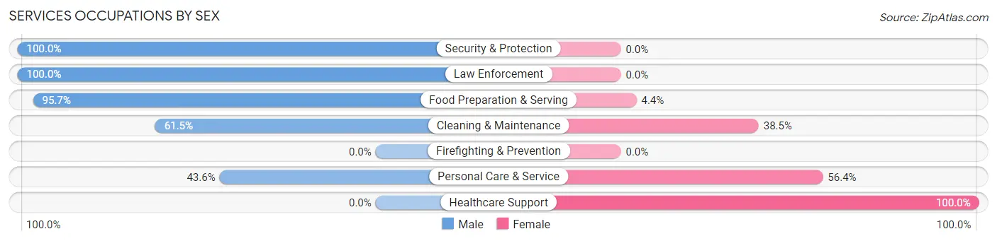 Services Occupations by Sex in Zip Code 43009