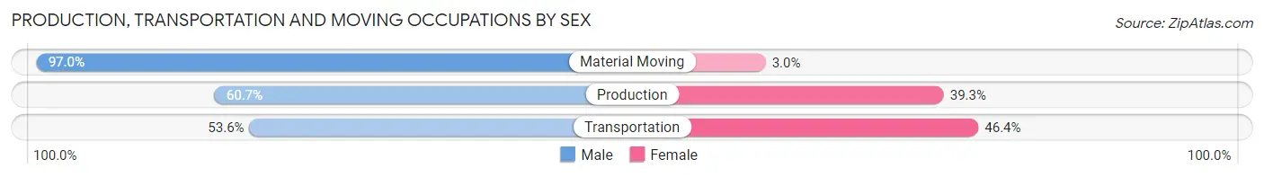 Production, Transportation and Moving Occupations by Sex in Zip Code 43028