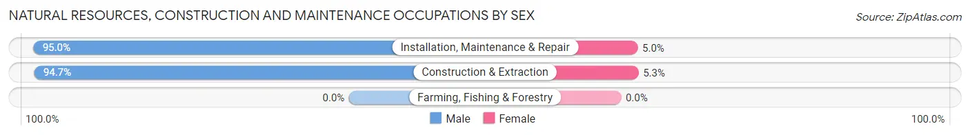 Natural Resources, Construction and Maintenance Occupations by Sex in Zip Code 43068