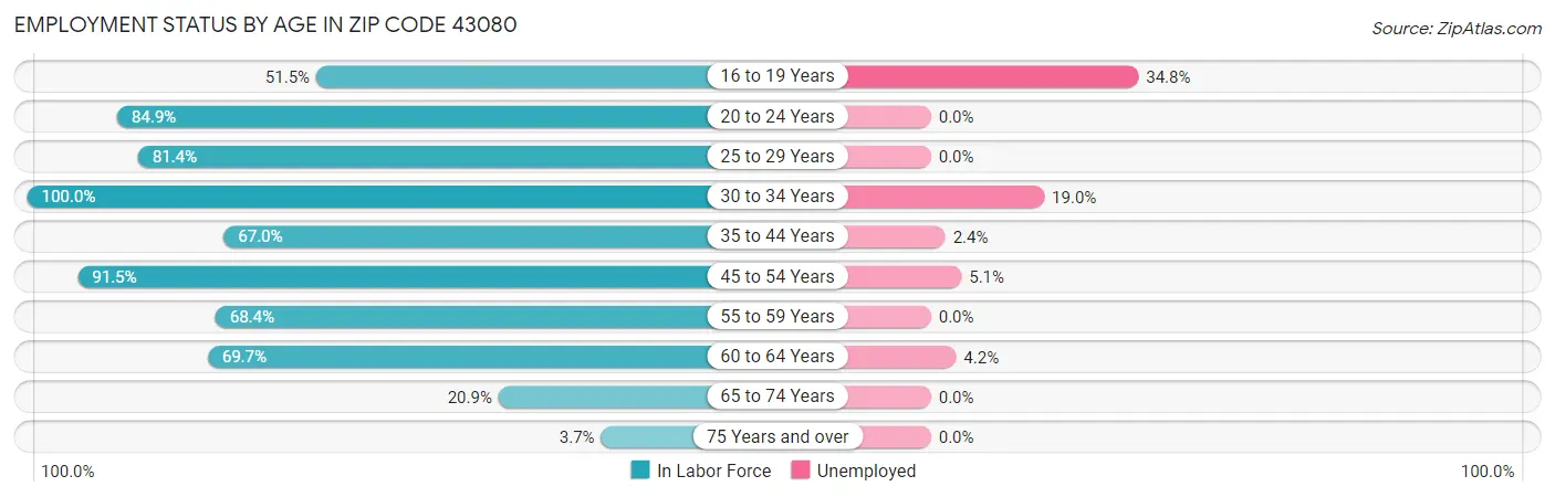 Employment Status by Age in Zip Code 43080