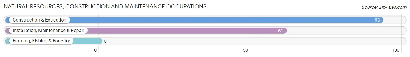 Natural Resources, Construction and Maintenance Occupations in Zip Code 43080