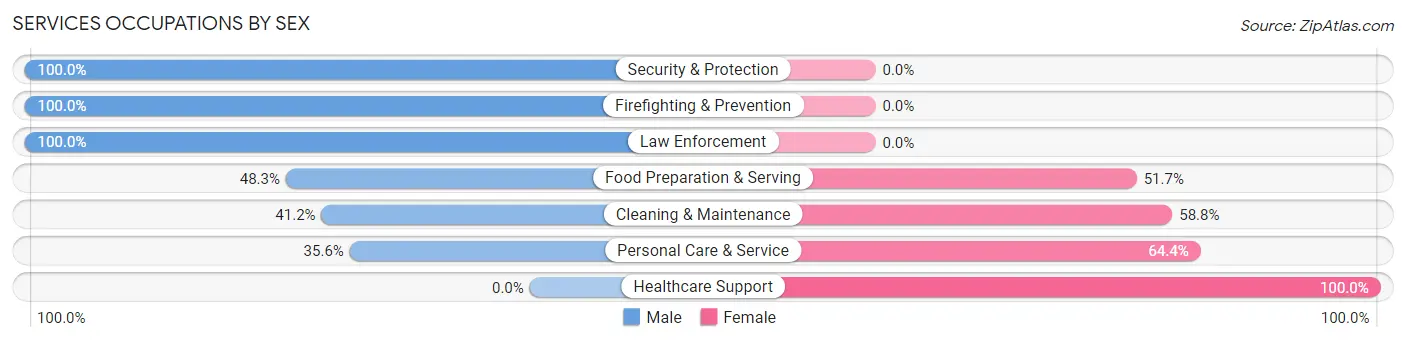 Services Occupations by Sex in Zip Code 43102