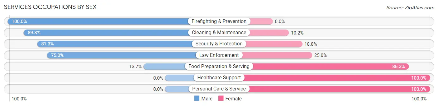 Services Occupations by Sex in Zip Code 43107