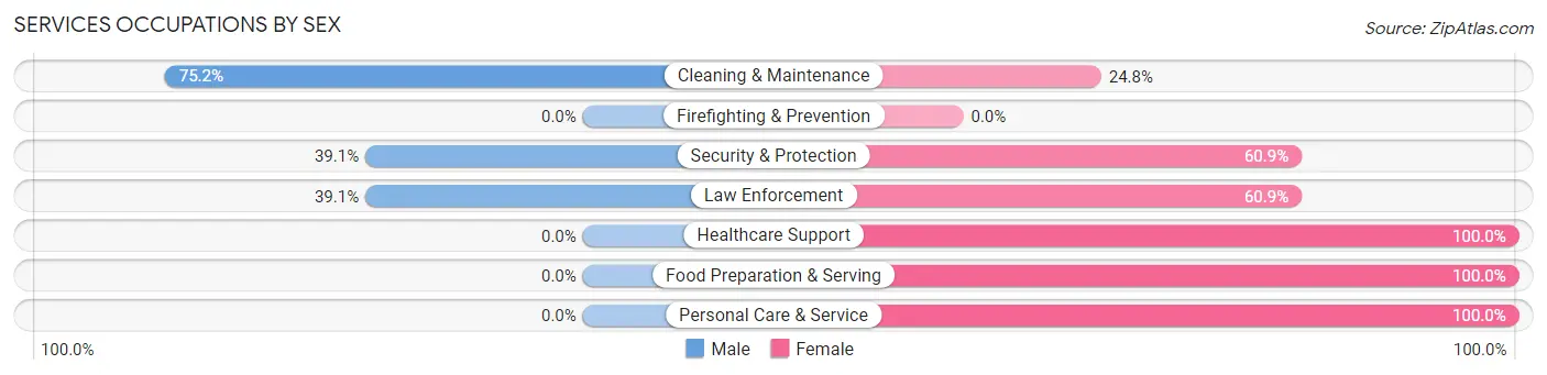 Services Occupations by Sex in Zip Code 43135
