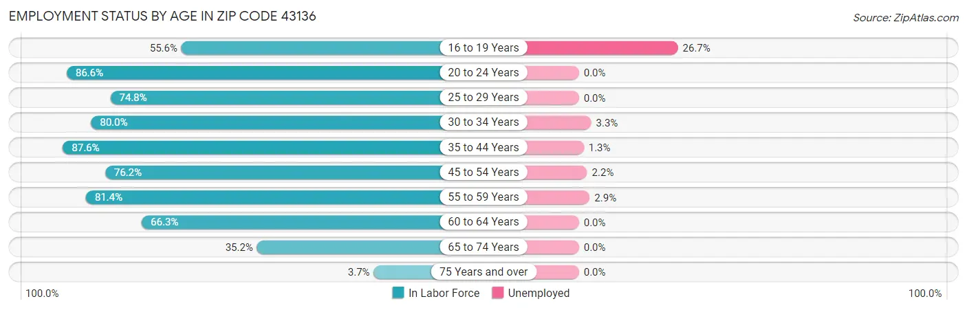 Employment Status by Age in Zip Code 43136