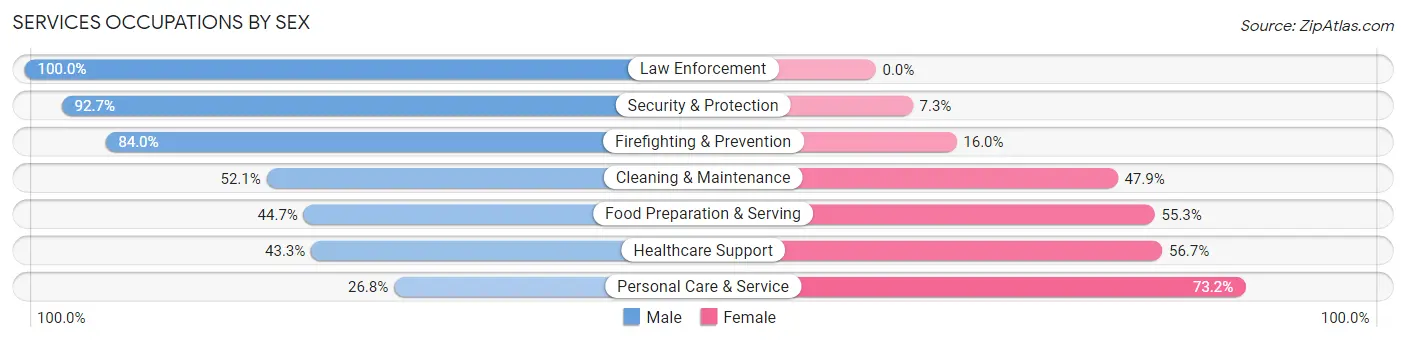 Services Occupations by Sex in Zip Code 43138