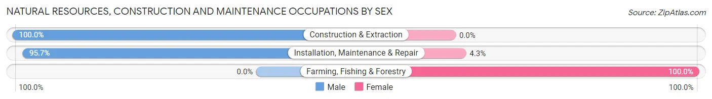 Natural Resources, Construction and Maintenance Occupations by Sex in Zip Code 43213