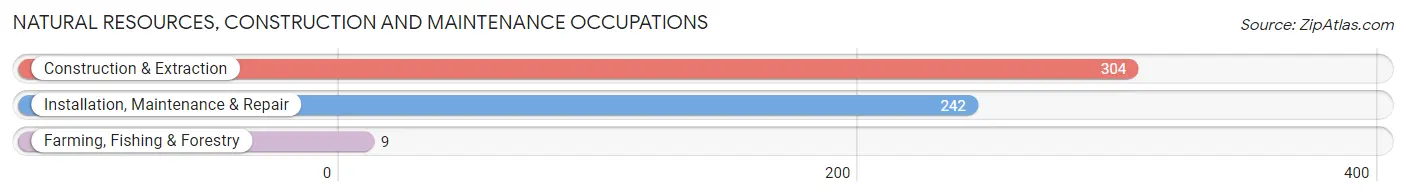 Natural Resources, Construction and Maintenance Occupations in Zip Code 43231