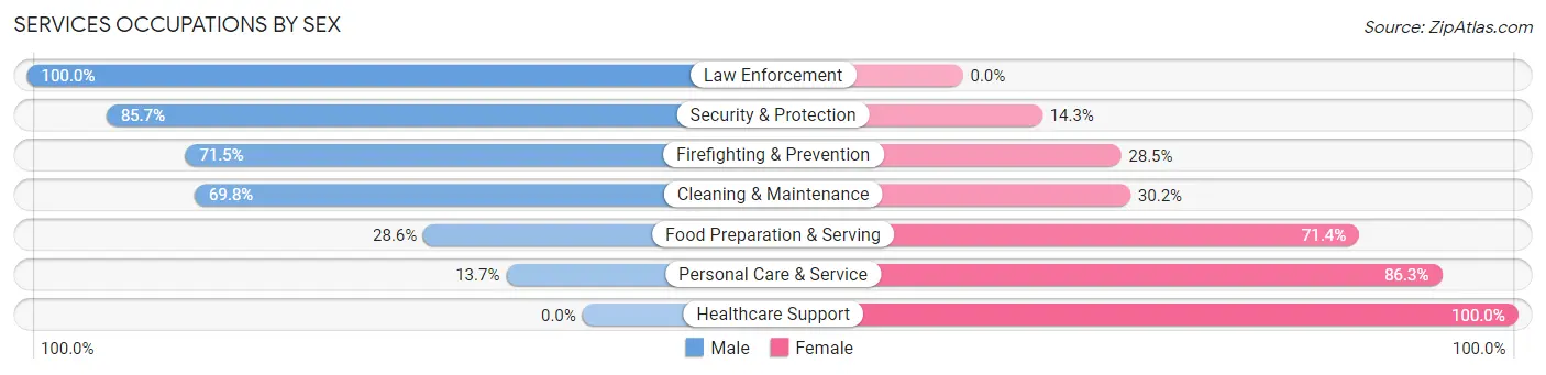 Services Occupations by Sex in Zip Code 43311
