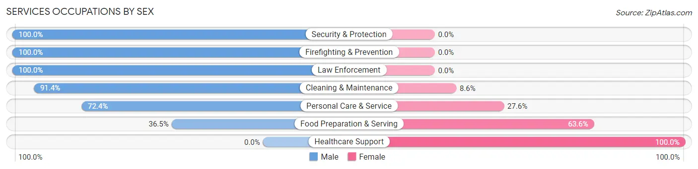 Services Occupations by Sex in Zip Code 43315