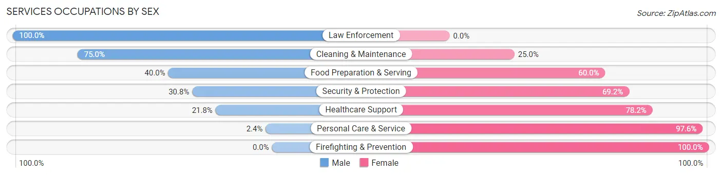 Services Occupations by Sex in Zip Code 43318