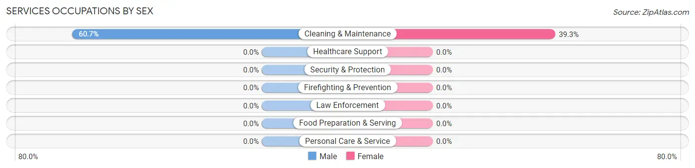 Services Occupations by Sex in Zip Code 43319