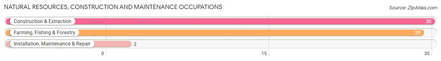 Natural Resources, Construction and Maintenance Occupations in Zip Code 43320