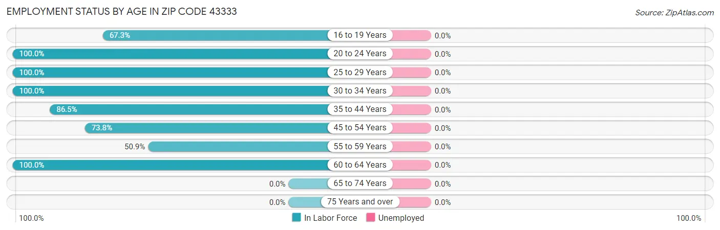 Employment Status by Age in Zip Code 43333