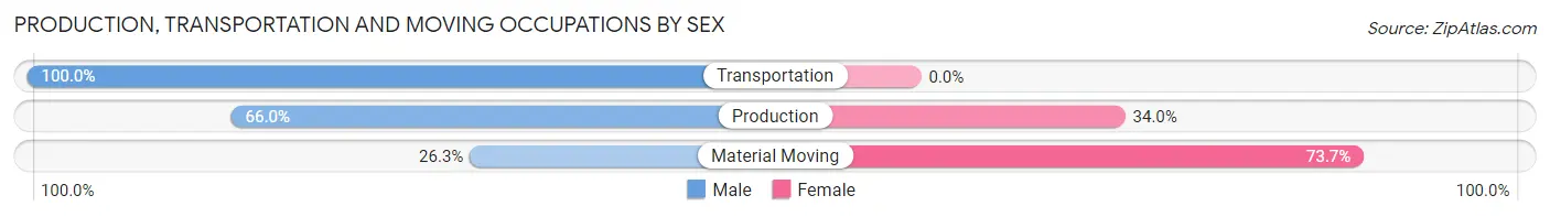Production, Transportation and Moving Occupations by Sex in Zip Code 43333