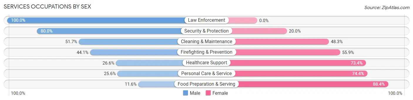 Services Occupations by Sex in Zip Code 43338