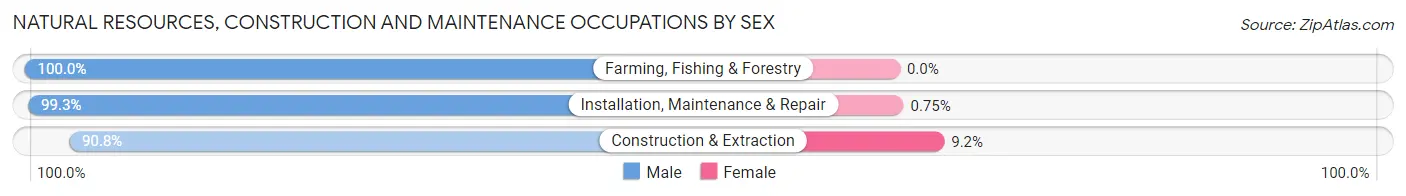 Natural Resources, Construction and Maintenance Occupations by Sex in Zip Code 43357