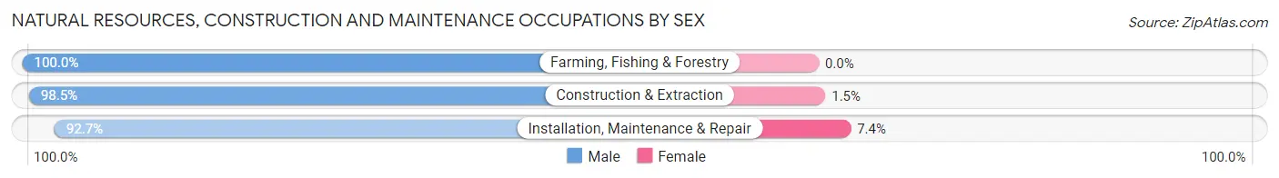 Natural Resources, Construction and Maintenance Occupations by Sex in Zip Code 43420