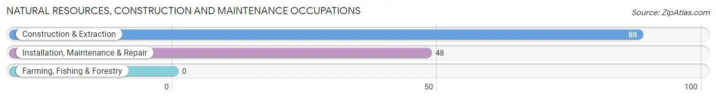 Natural Resources, Construction and Maintenance Occupations in Zip Code 43465