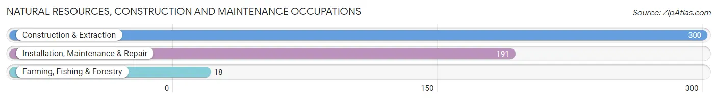 Natural Resources, Construction and Maintenance Occupations in Zip Code 43506