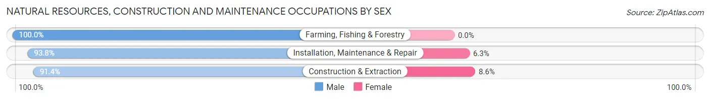 Natural Resources, Construction and Maintenance Occupations by Sex in Zip Code 43512