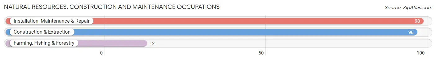 Natural Resources, Construction and Maintenance Occupations in Zip Code 43516