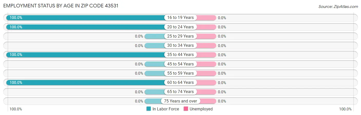 Employment Status by Age in Zip Code 43531