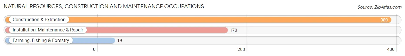 Natural Resources, Construction and Maintenance Occupations in Zip Code 43545