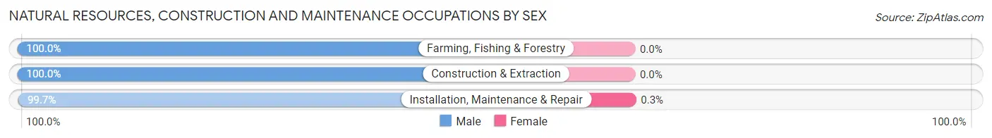 Natural Resources, Construction and Maintenance Occupations by Sex in Zip Code 43558