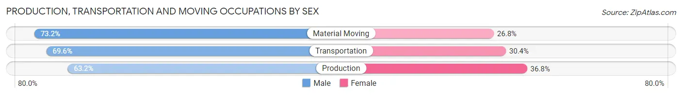 Production, Transportation and Moving Occupations by Sex in Zip Code 43567