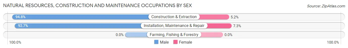 Natural Resources, Construction and Maintenance Occupations by Sex in Zip Code 43612