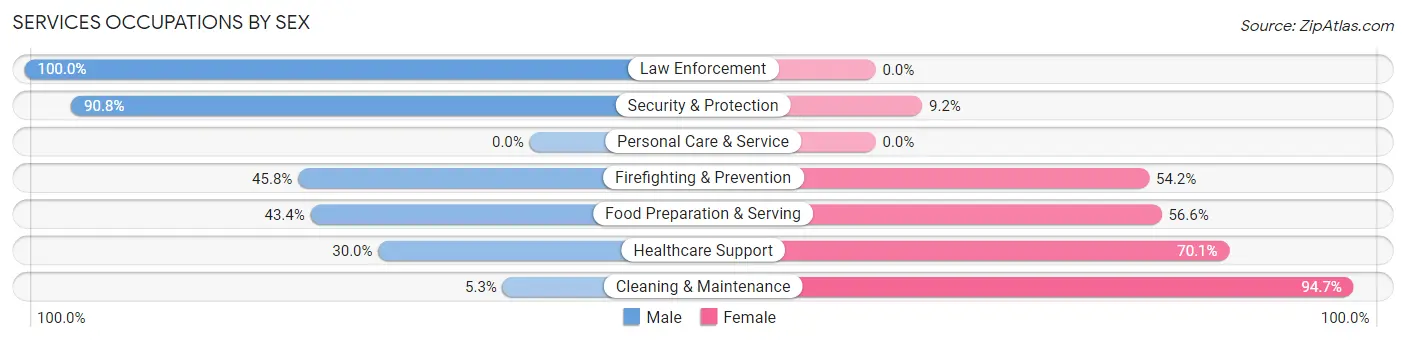 Services Occupations by Sex in Zip Code 43713