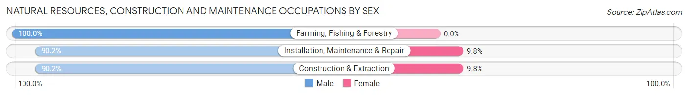Natural Resources, Construction and Maintenance Occupations by Sex in Zip Code 43718