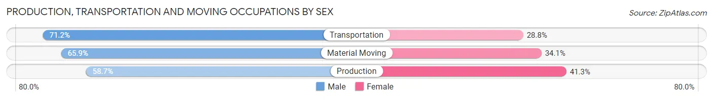 Production, Transportation and Moving Occupations by Sex in Zip Code 43725