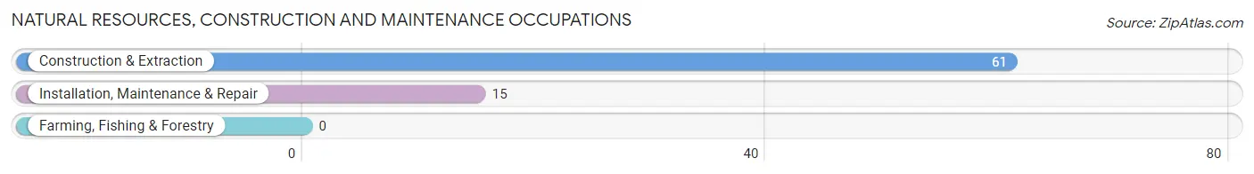 Natural Resources, Construction and Maintenance Occupations in Zip Code 43728